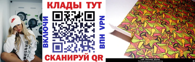 Виды наркоты Сураж Бошки Шишки  КОКАИН  А ПВП  Гашиш 