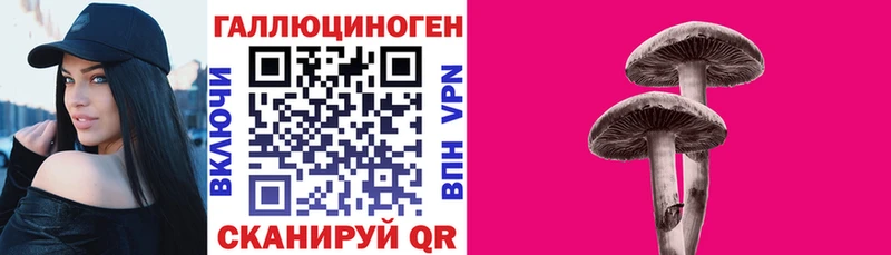 Псилоцибиновые грибы GOLDEN TEACHER Сураж